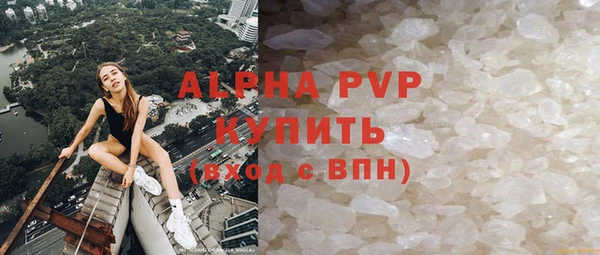 гашик Алексин
