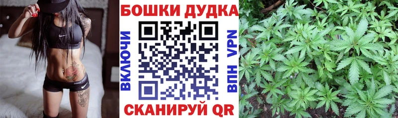 Купить где  Чусовой  Бошки марихуана ГИДРОПОН 